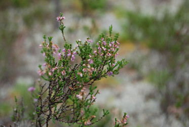 Similar image 21646627