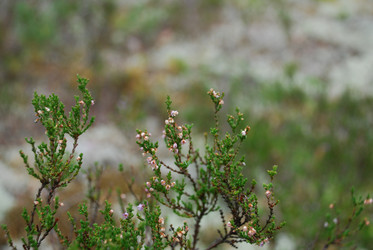 Similar image 21646628