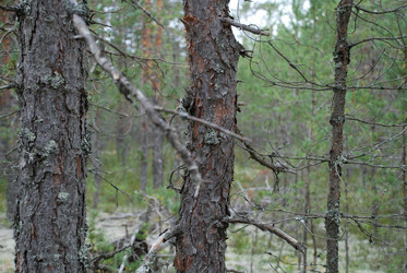 Similar image 21646629