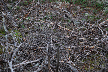 Similar image 21646631