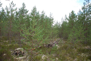 Similar image 21646632