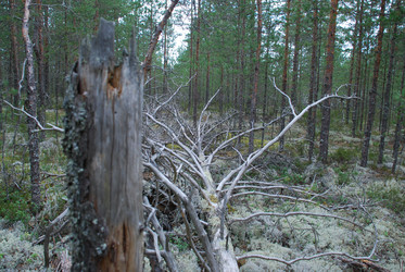 Similar image 21646633