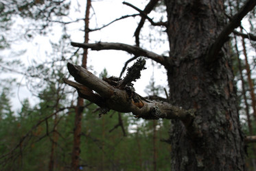 Similar image 21646634