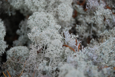 Similar image 21646635