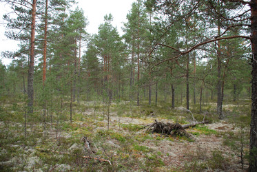 Similar image 21646637