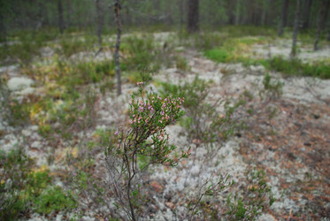 Similar image 21646638