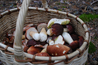 Similar image 21646639