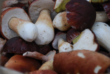 Similar image 21646640