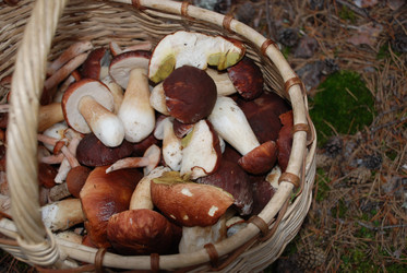 Similar image 21646642