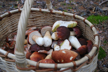 Similar image 21646643