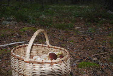 Similar image 21646644