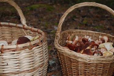 Similar image 21646646