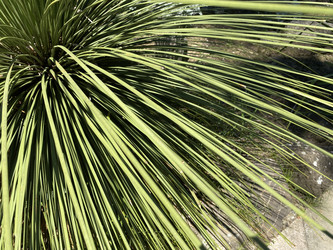 Similar image 21646660