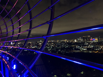 Similar image 21646661