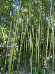 Similar image 21646664