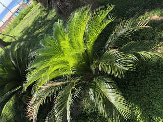 Similar image 21646666