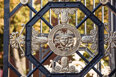 Similar image 21646764