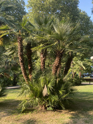 Similar image 21646667