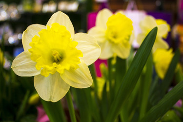 Similar image 21659144