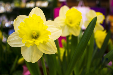 Similar image 21659428