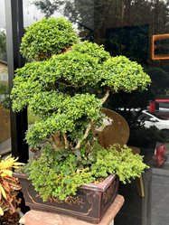 Similar image 21659429