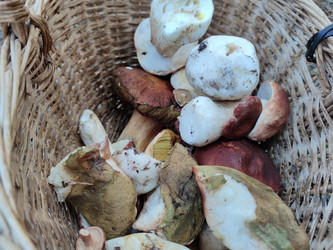 Similar image 21646668