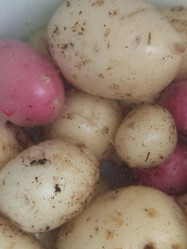 Similar image 21646670