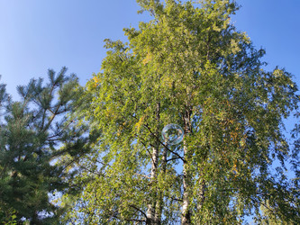 Similar image 21646671