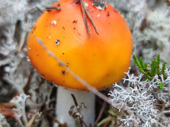 Similar image 21646674