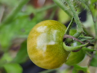 Similar image 21646678