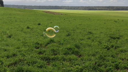 Similar image 21646679