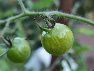 Similar image 21646680