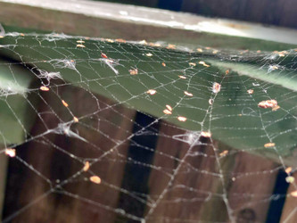 Similar image 21646682