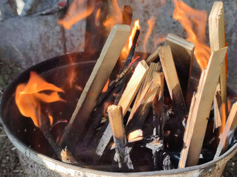 Similar image 21646686