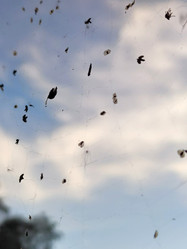 Similar image 21646689