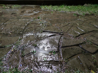 Similar image 21646692