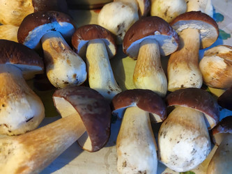 Similar image 21646693