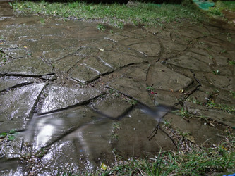 Similar image 21646694