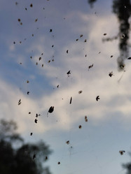 Similar image 21646695