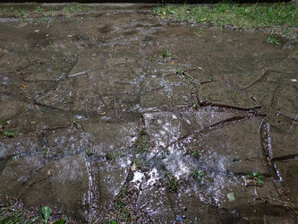 Similar image 21646696