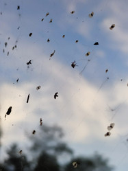 Similar image 21646697