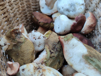 Similar image 21646698