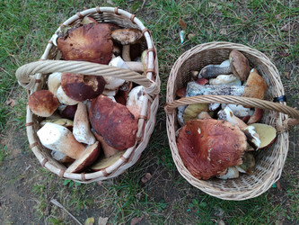 Similar image 21646700