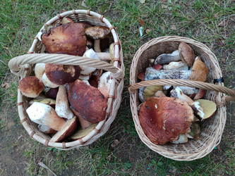 Similar image 21646702