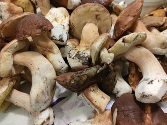 Similar image 21646704