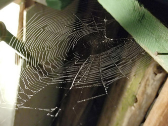 Similar image 21646705