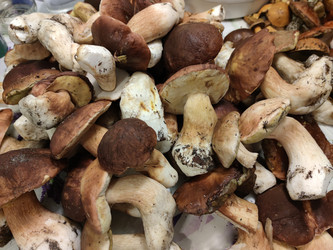 Similar image 21646706