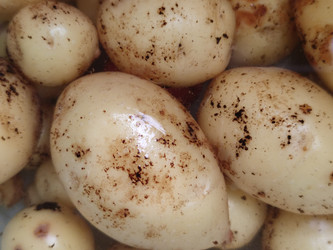 Similar image 21646709