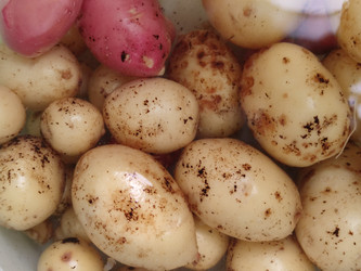 Similar image 21646711