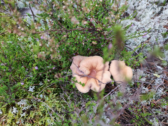 Similar image 21646713